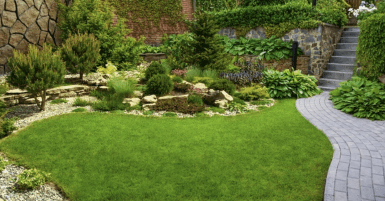 Keep Your Backyard Looking Beautiful