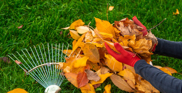 Essential Fall Landscaping Tasks